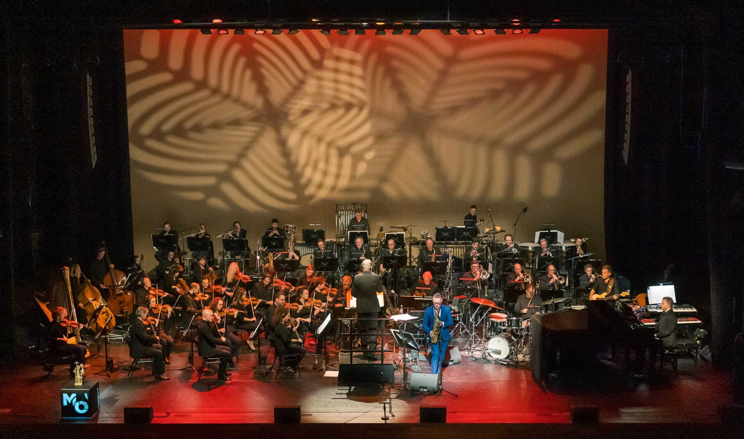 Thuishaven van een wereldorkest