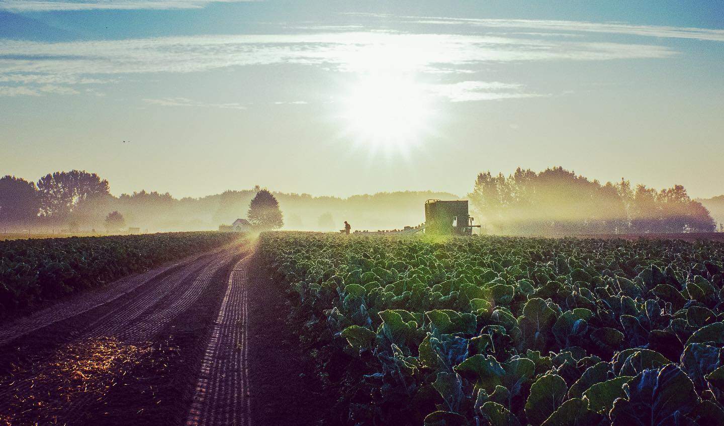 ‘Summer Madness’ en de spirit van Kool and the Gang