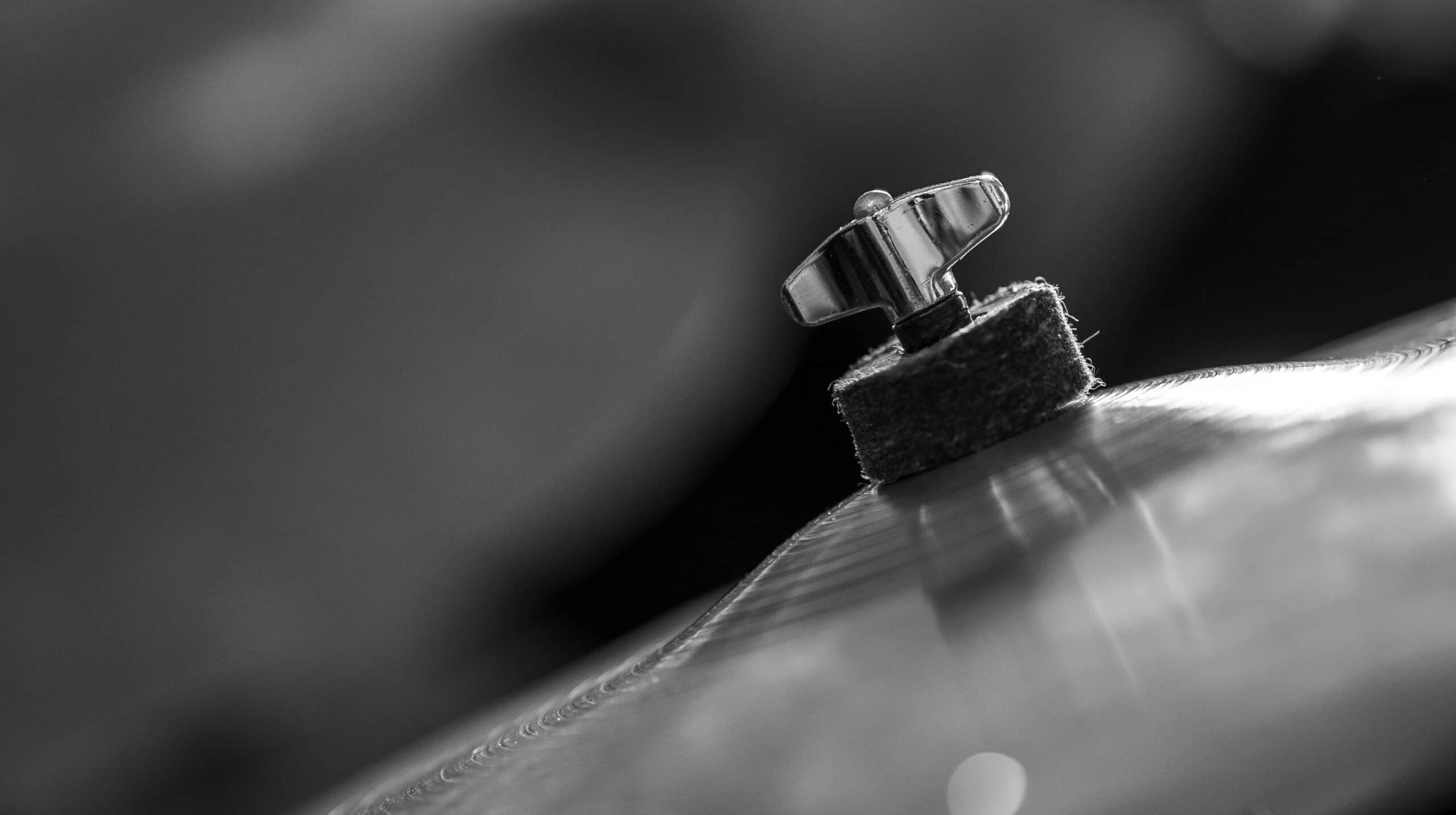 De hinkende eend van Sonny Payne